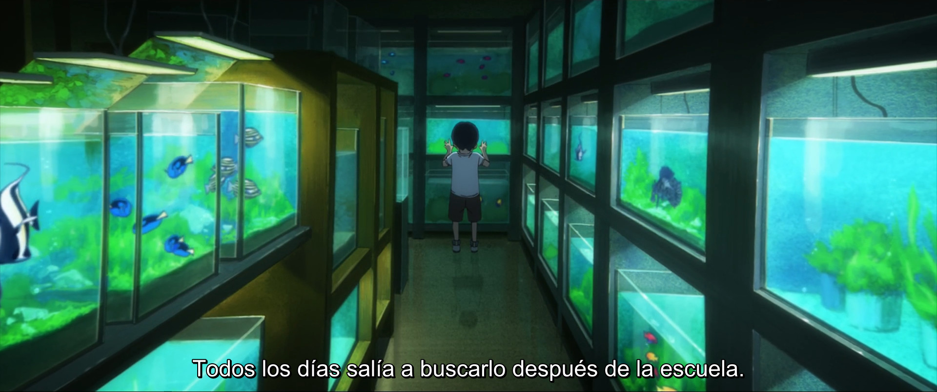 Josee, the Tiger and the Fish (Monomario)